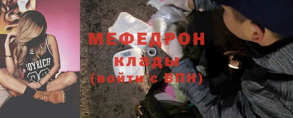 сатива Волоколамск