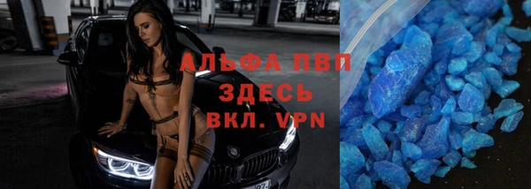 сатива Волоколамск