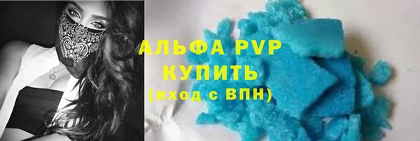 сатива Волоколамск