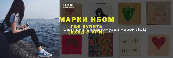 сатива Волоколамск