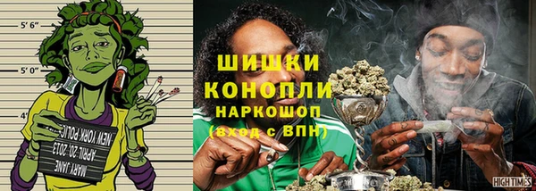 сатива Волоколамск
