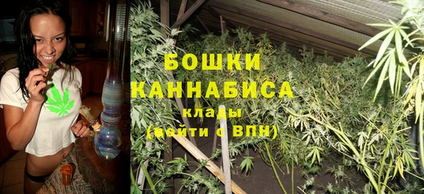 сатива Волоколамск