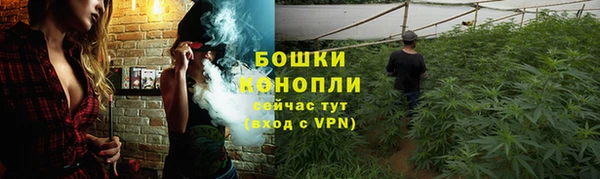 сатива Волоколамск