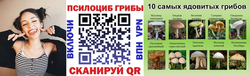 Галлюциногенные грибы GOLDEN TEACHER  Купить  Луга 